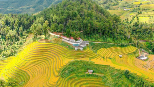 Sống khủng long homestay