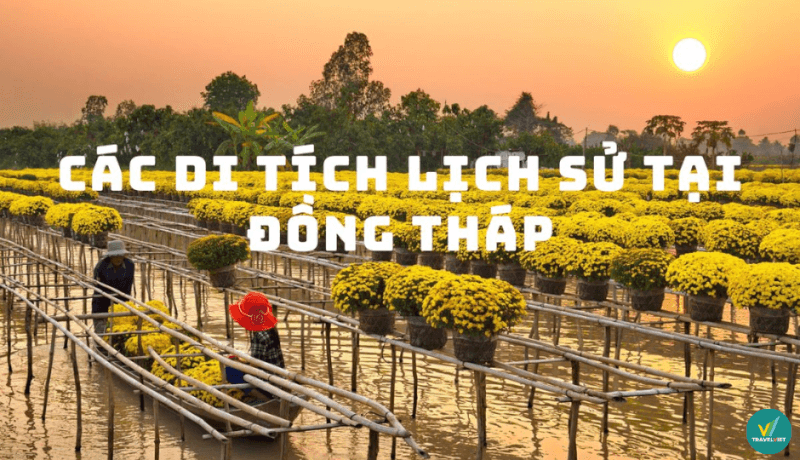 同塔 14 个不容错过的著名历史景点