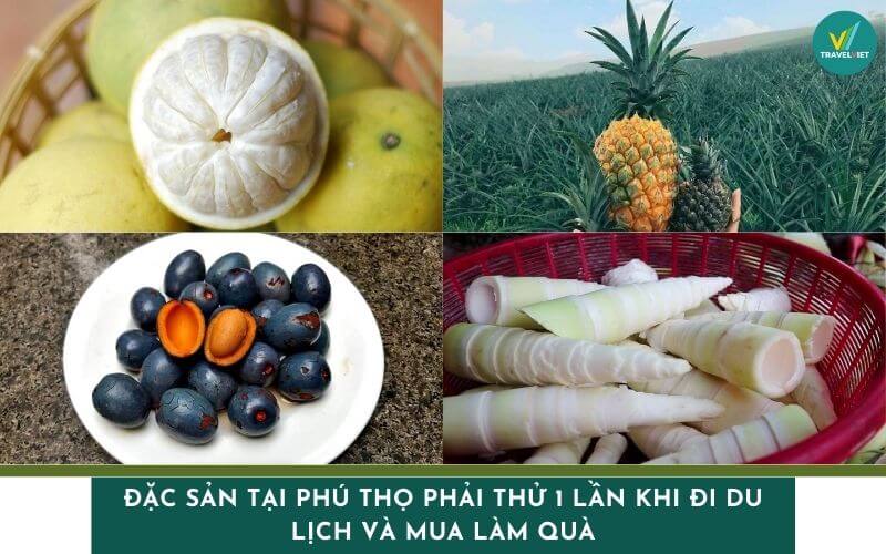 Phu Thoの専門は、旅行やギフトとして購入するときに一度試してみる必要があります