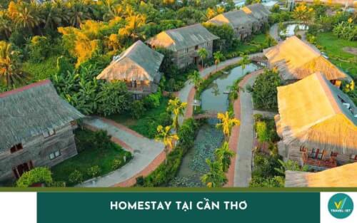 トップ12ホームステイでは、仮想ライフチームに最適です