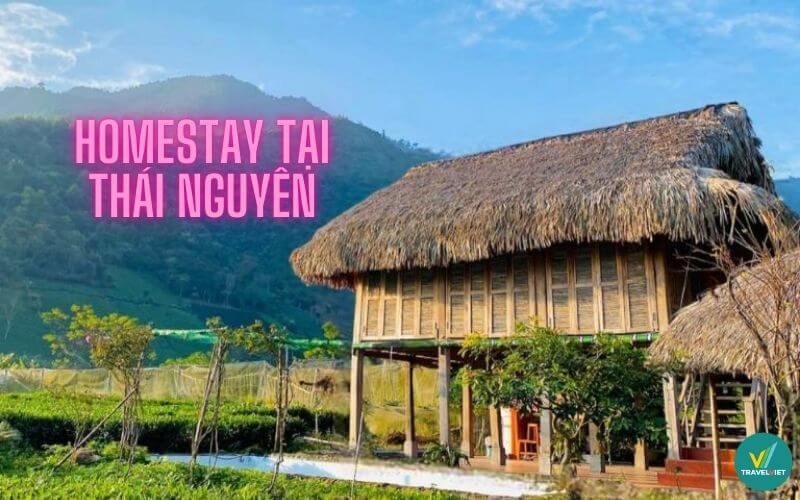 タイnguyenのトップ7ホームステイは、動いているすべての信者の心を美しく崩壊させました