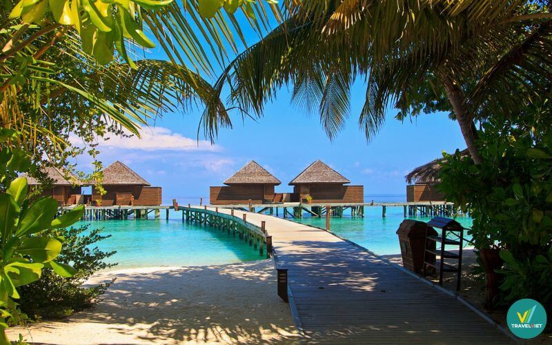 Top 10 khu nghỉ dưỡng xanh tại Quảng Bình giúp bạn tận hưởng kỳ nghỉ