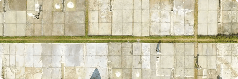 Cánh đồng muối Bạch Long.