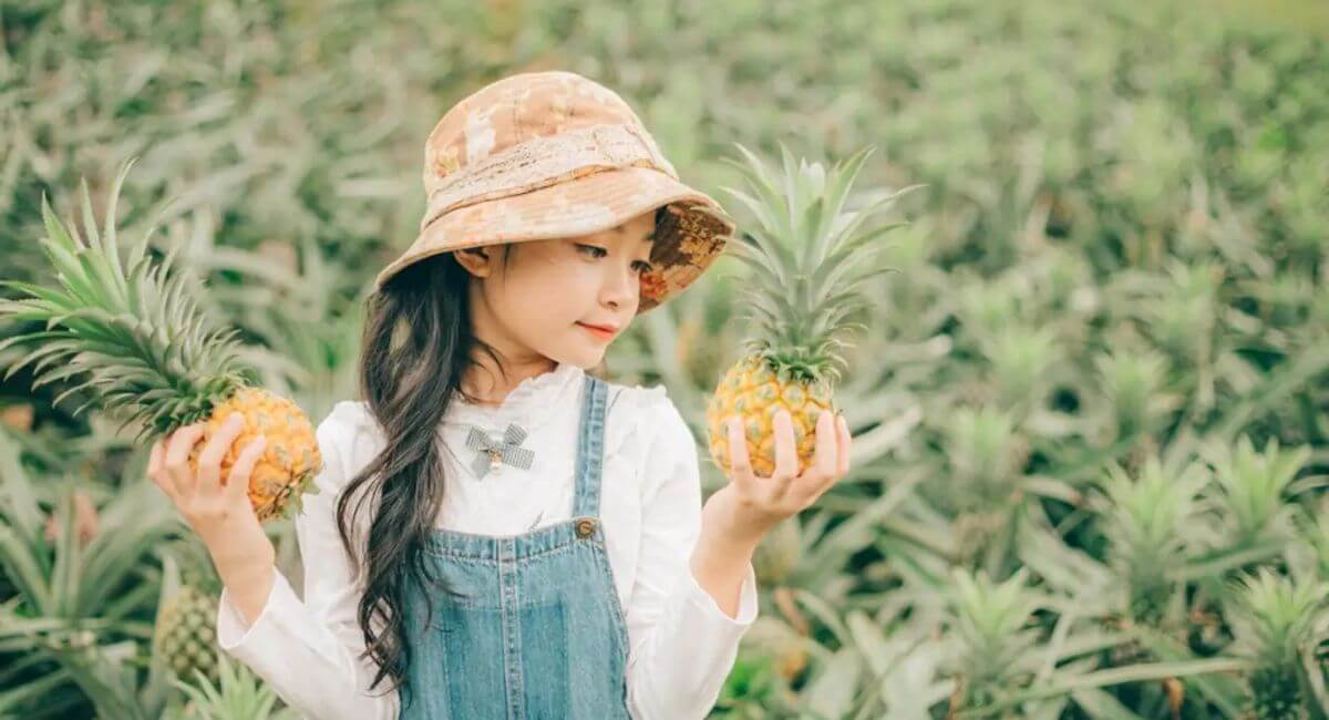 Đồi dứa Bảo Sơn