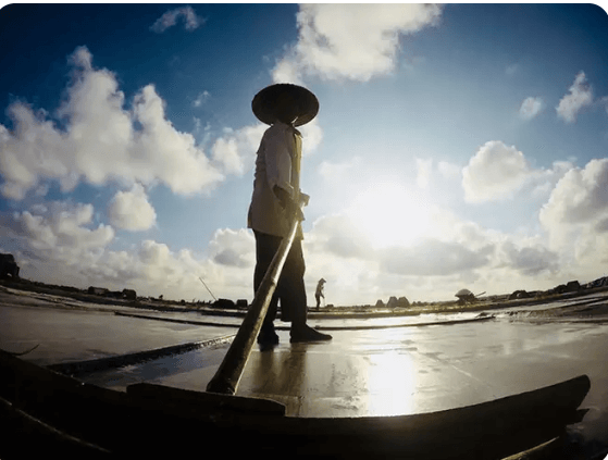 Cánh đồng muối Bạch Long.