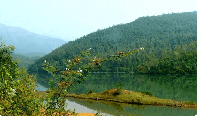 Khu bảo tồn thiên nhiên Tây Yên Tử