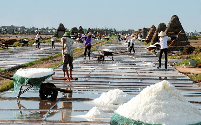 塩農家は常に塩漬けをすることに熱心です