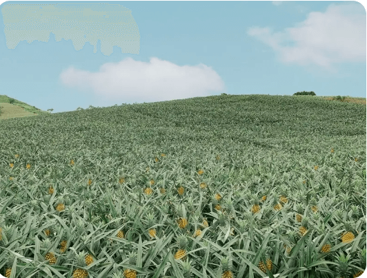 Day 1 (November 22): CAM RANH-INCHEON (Sleep on the plane)