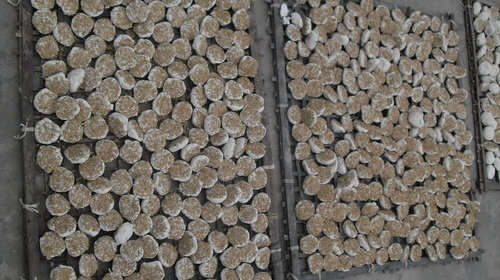 Làng rượu Vân Hà.