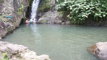 モスは夏に理想的なお風呂です。