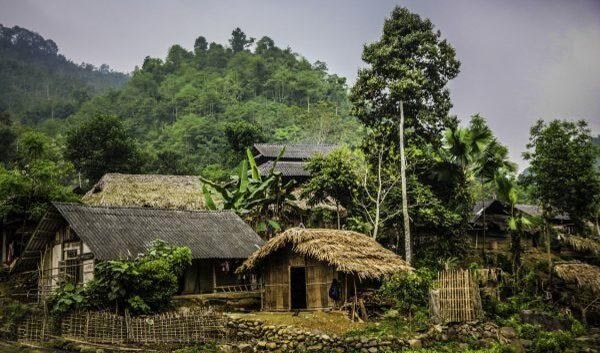 かわいい家を賞賛してください