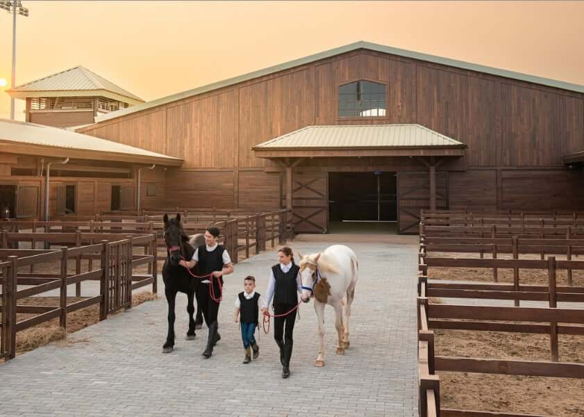 Bạn sẽ được học cách cưỡi ngựa chuyên nghiệp tại Vinpearl Horse Academy Vũ Yên
