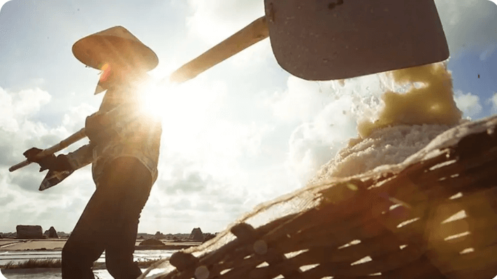 塩は、トレーダーが購入するのを待って慎重に保存されます。