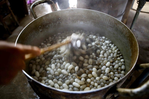 Làng dệt lụa tơ tằm Nha Xá