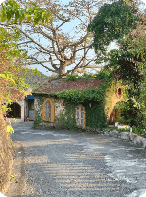 Ngôi nhà cổ tích có khung cửa sổ vàng tươi lọt thỏm dưới ráng chiều tà