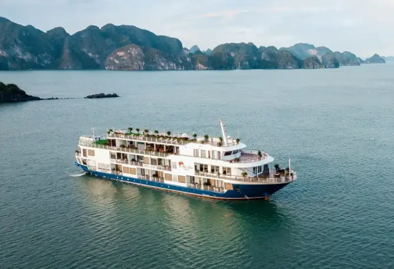 Mon Chéri Cruises – Thiên Đường Nghỉ Dưỡng Trên Vịnh Quảng Ninh