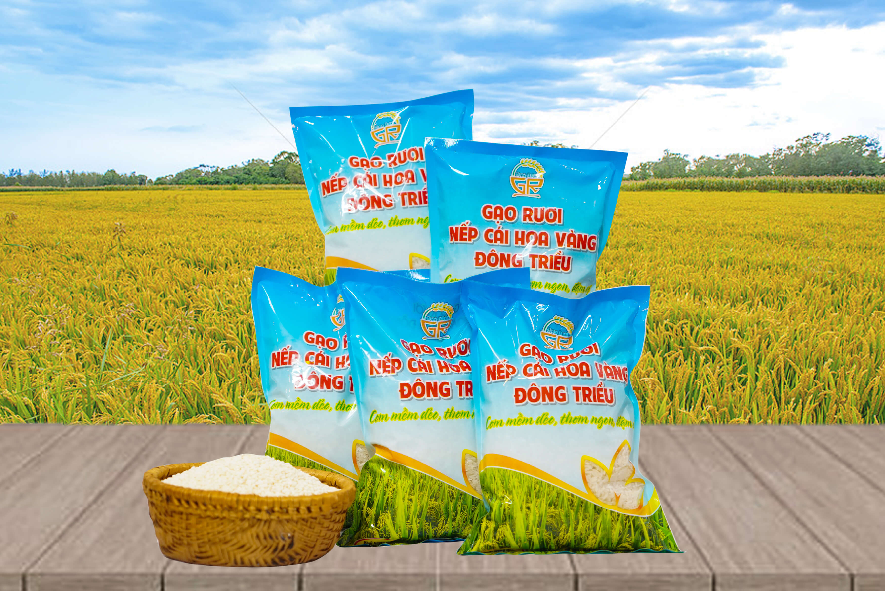 Gạo Nếp Cái Hoa Vàng: Hương Vị Dẻo Ngọt Từ Mảnh Đất Đông Triều