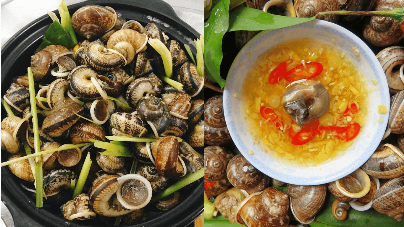 Thưởng Thức Món Ốc Núi Hoành Bồ – Đậm Đà Hương Vị Núi Rừng