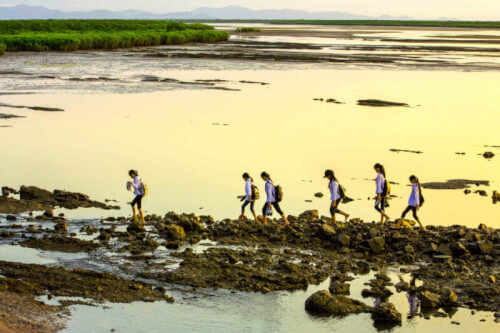 Một Ngày Bình Yên Ở Thôn Đảo Hà Loan – Góc Nhỏ Của Cẩm Phả