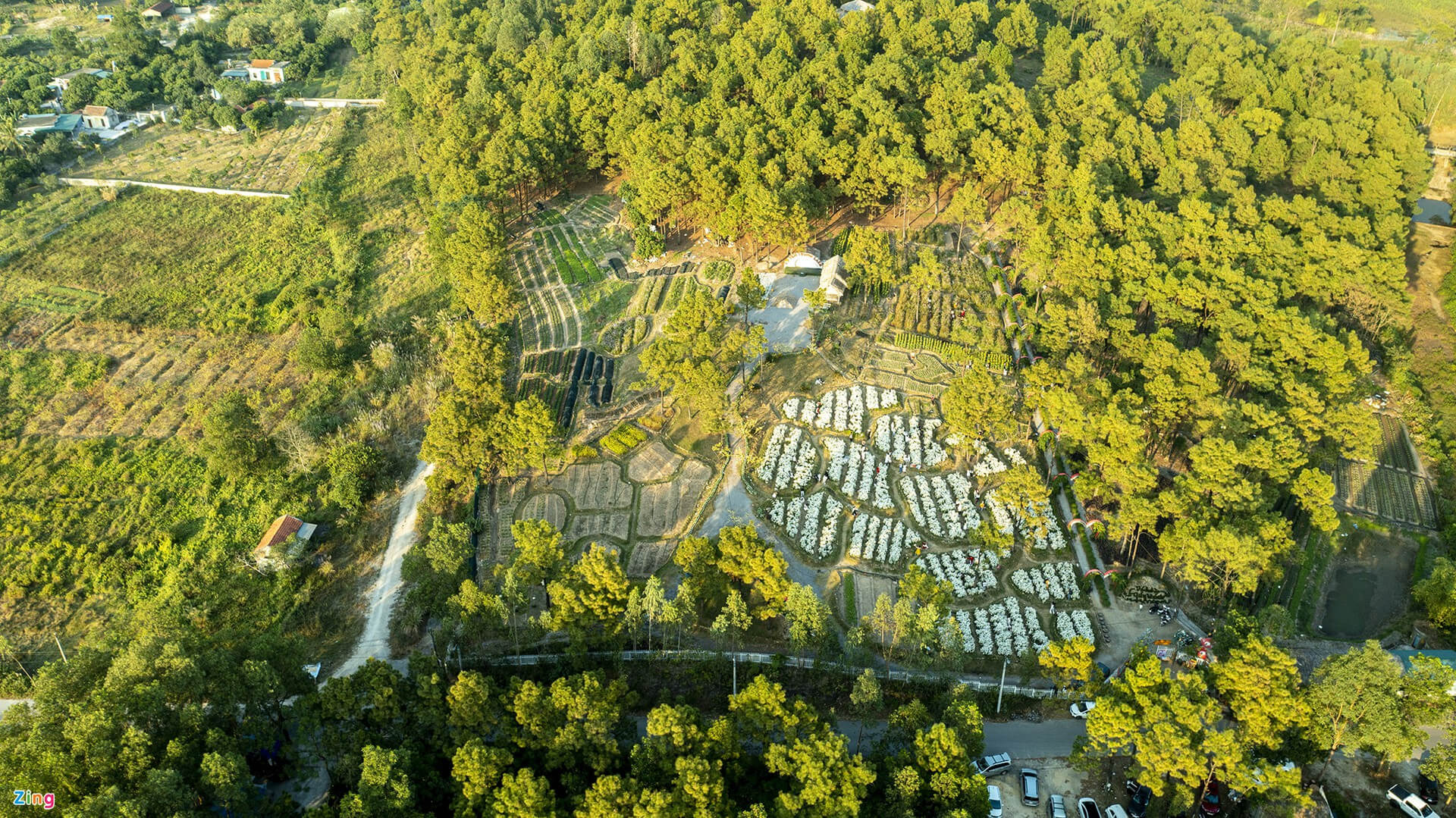 Thung Lũng Hoa Yên Tử – Nét Đẹp Mộc Mạc Và Lãng Mạn Của Quảng Ninh