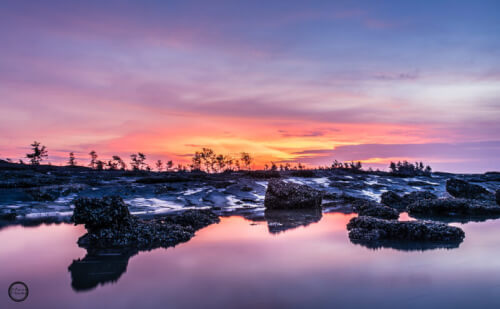 Trốn Khỏi Phố Thị, Mình Tìm Thấy Bình Yên Ở Cồn Mang – Trà Cổ