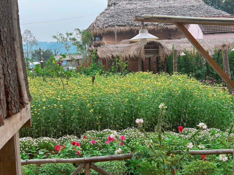 Gác lại bộn bề, về Man Farm ngủ lều, đốt lửa trại và nghe nhạc sống