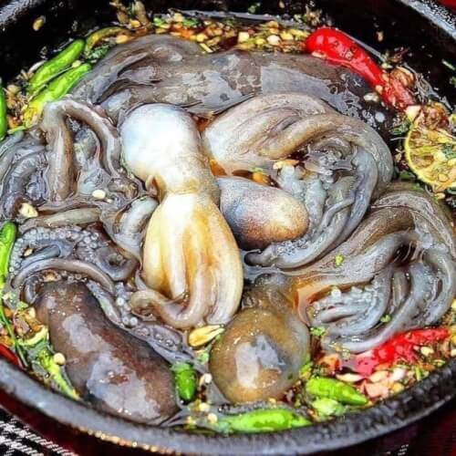 Gỏi Ruốc “Chân Dài” Xà Cong – Đặc Sản Khiến Thực Khách Nhớ Mãi Vùng Biển Hạ Long