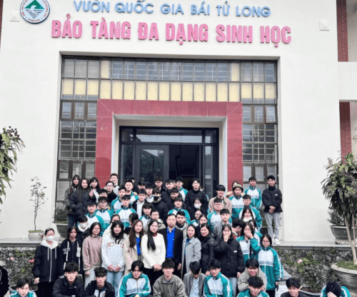 Bảo Tàng Vườn Quốc Gia Bái Tử Long: Hành Trình Khám Phá Các Loài Động Thực Vật Quý Hiếm