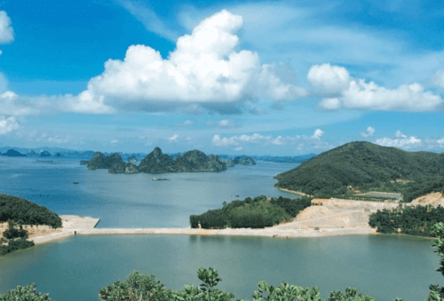 Đảo Thẻ Vàng – Bức Tranh Thiên Nhiên Giữa Biển Trời Quảng Ninh