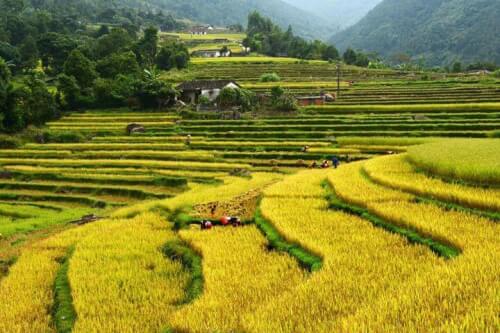 Bản Sông Moóc – Điểm Hẹn Cho Những Ai Yêu Thiên Nhiên Và Bản Sắc