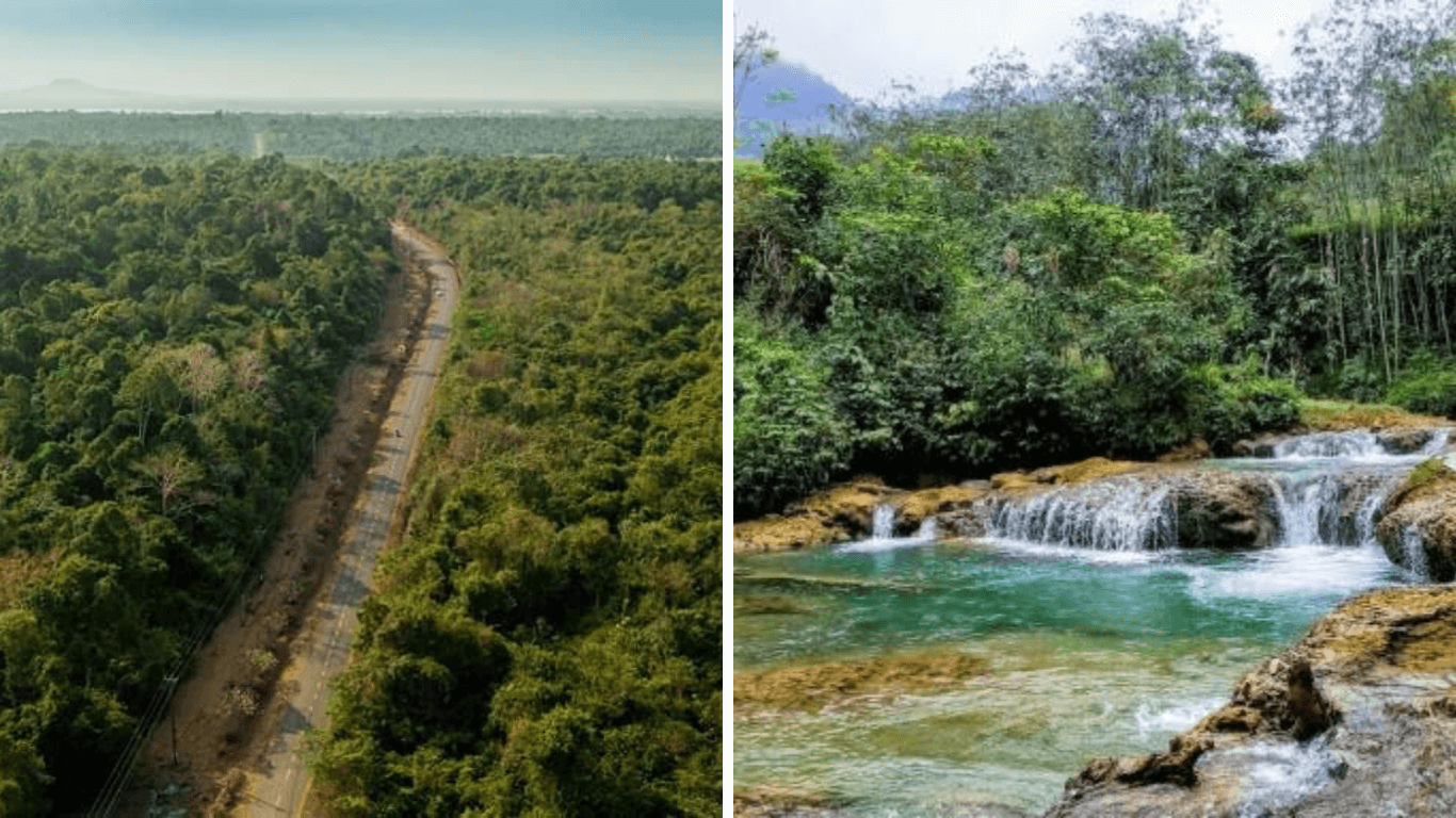 Lý Do Khu Bảo Tồn Thiên Nhiên Đồng Sơn - Kỳ Thượng Là Điểm Đến Lý Tưởng Cho Mọi Du Khách