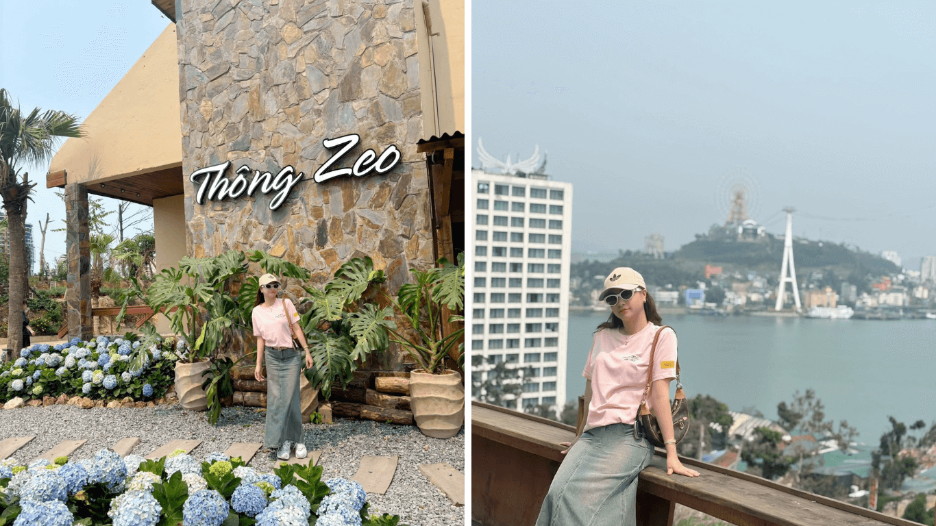 Bỏ Túi Địa Chỉ Café Thông Zeo: Thiên Đường Yên Tĩnh Giữa Lòng Hạ Long  Tìm Một Khoảnh