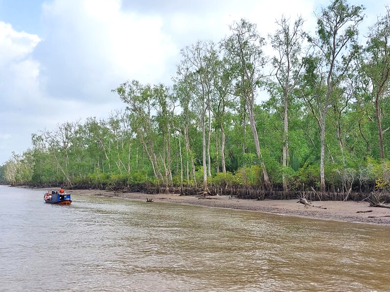 Một Ngày Ở Cù Lao Dài – Nghe Đờn Ca, Thưởng Trái Ngọt