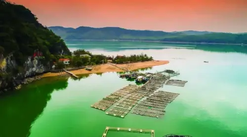 Vẻ Đẹp Hoang Sơ Của Đảo Bánh Sữa: Thiên Đường Bí Ẩn Ở Quảng Ninh