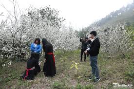 Bình Liêu tháng Hai: Hành trình lạc bước giữa rừng mận trắng