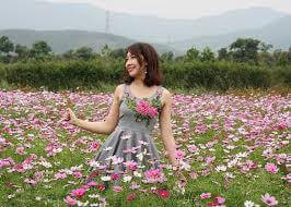 Lạc Bước Giữa Ngàn Hoa Ở Thiên Đường Quảng La Quảng Ninh