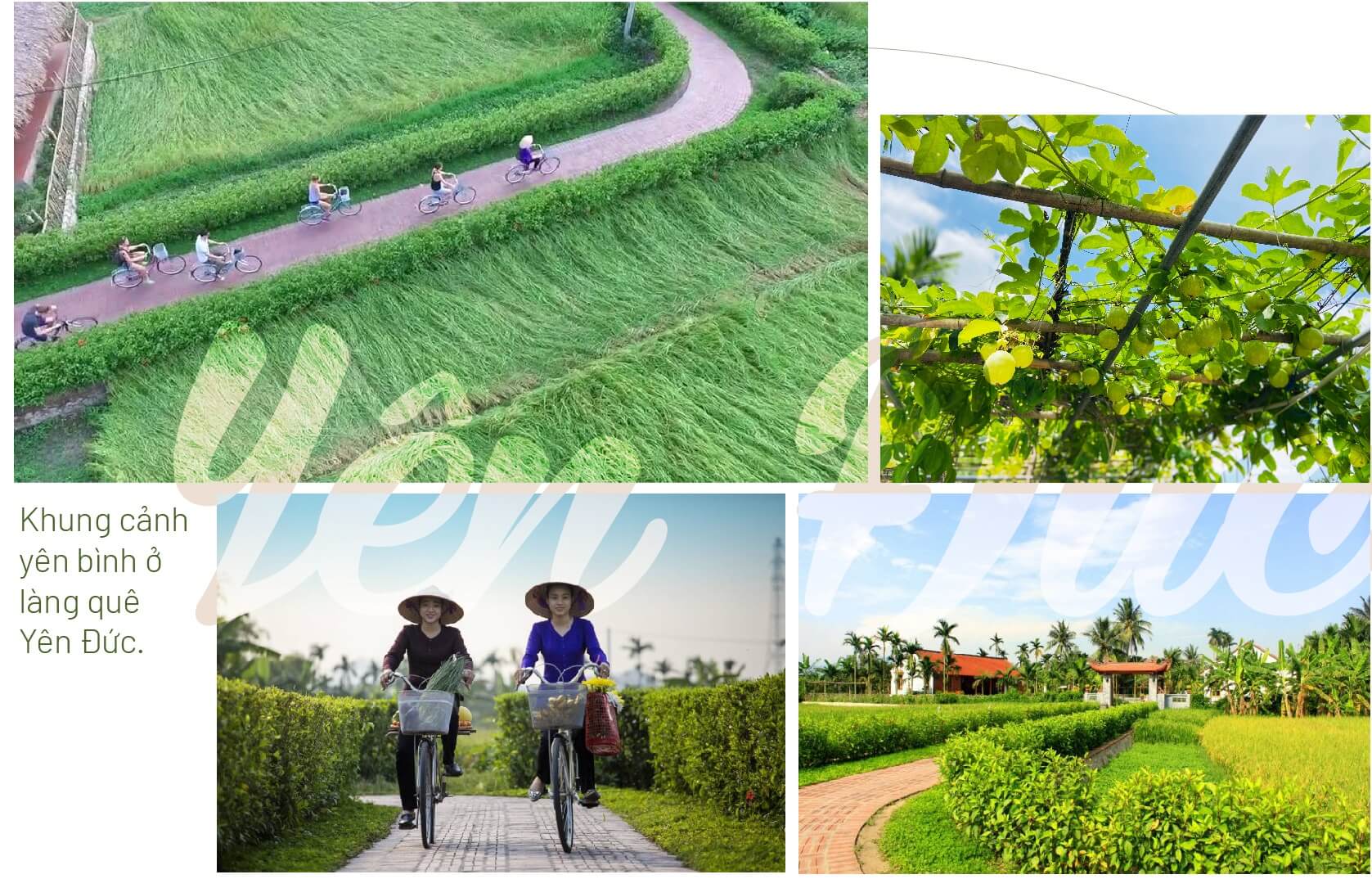 Yên Đức – Làng quê cổ tích giữa lòng Đông Triều