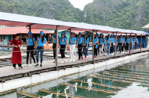 Chuyến Đi Đầy Ấn Tượng Tại Làng Nghề Ngọc Trai Tùng Sâu