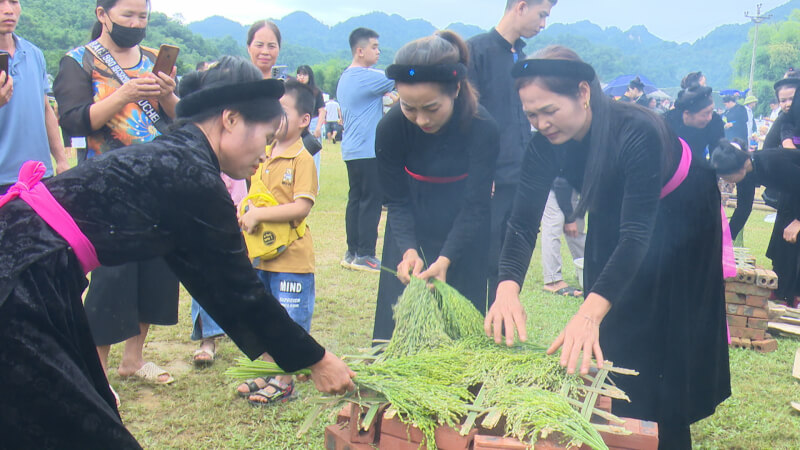 시리얼 두근두근 축제