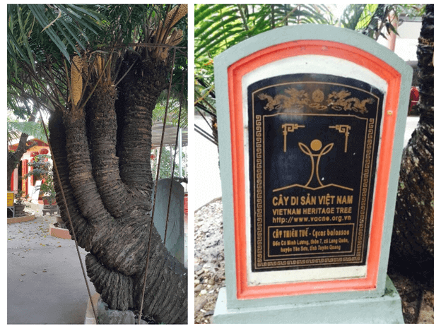 Minh Luong의 Khanh 파티