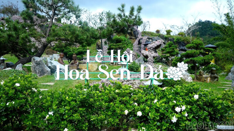 2025 사파 겨울축제