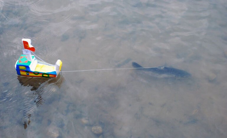 Tay족의 물고기 축제