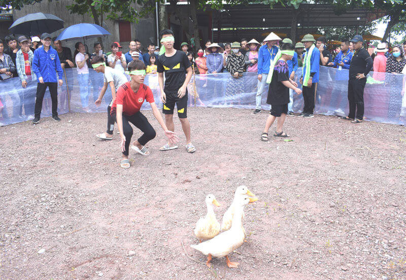 Cam Hai Dinh Dinh 축제