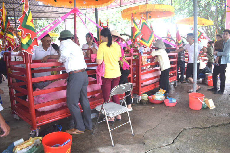 Cam Hai Dinh Dinh 축제