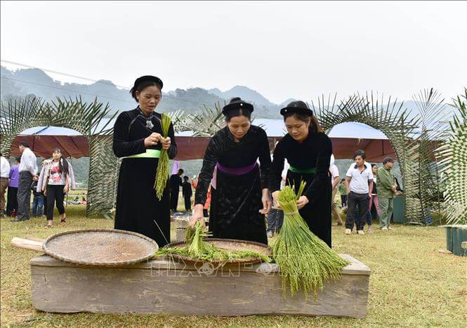 시리얼 두근두근 축제
