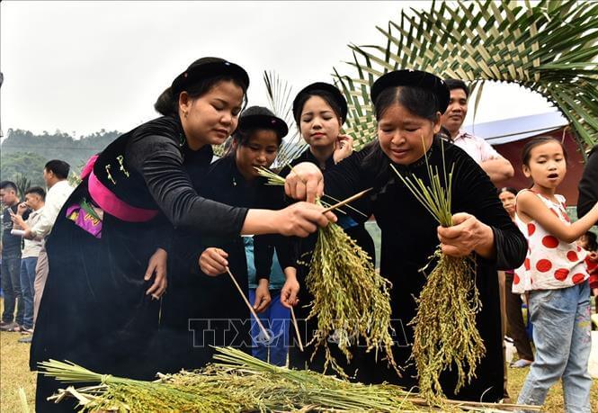 시리얼 두근두근 축제