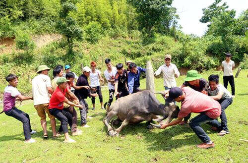오래된 마른 축제