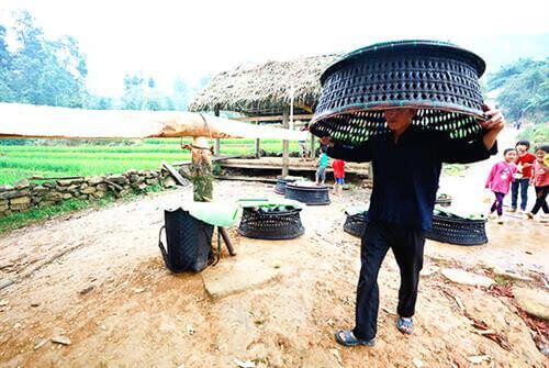 오래된 마른 축제