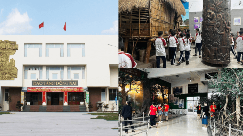 Tìm Hiểu Bảo Tàng Đồng Nai – Ngược Dòng Về Quá Khứ Hào Hùng Trên Đất Phương Nam