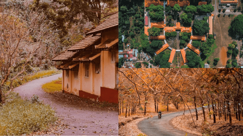 Khu Du Lịch Suối Tre - Đồng Nai: Khám phá “Đà Lạt Miền Đông” Ngay Gần Hồ Chí Minh